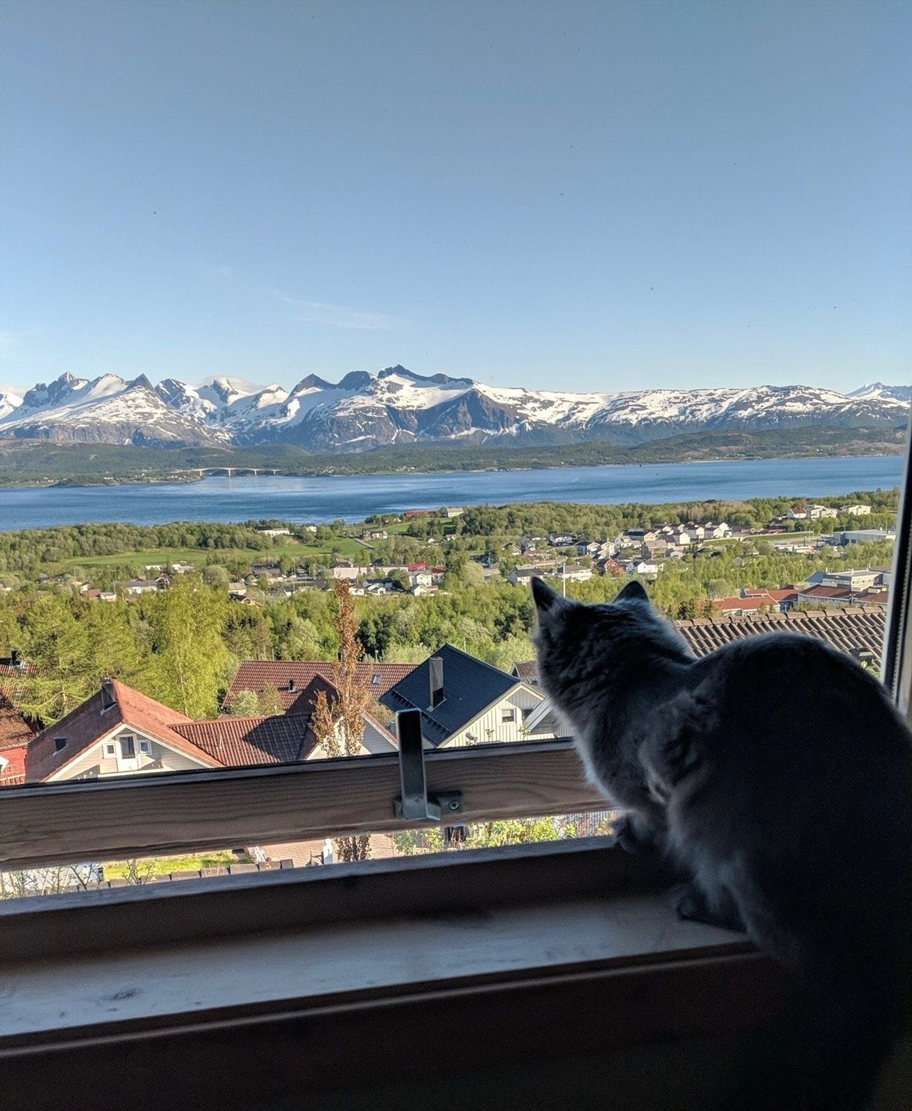 Selgers private bilde. Galleribilde