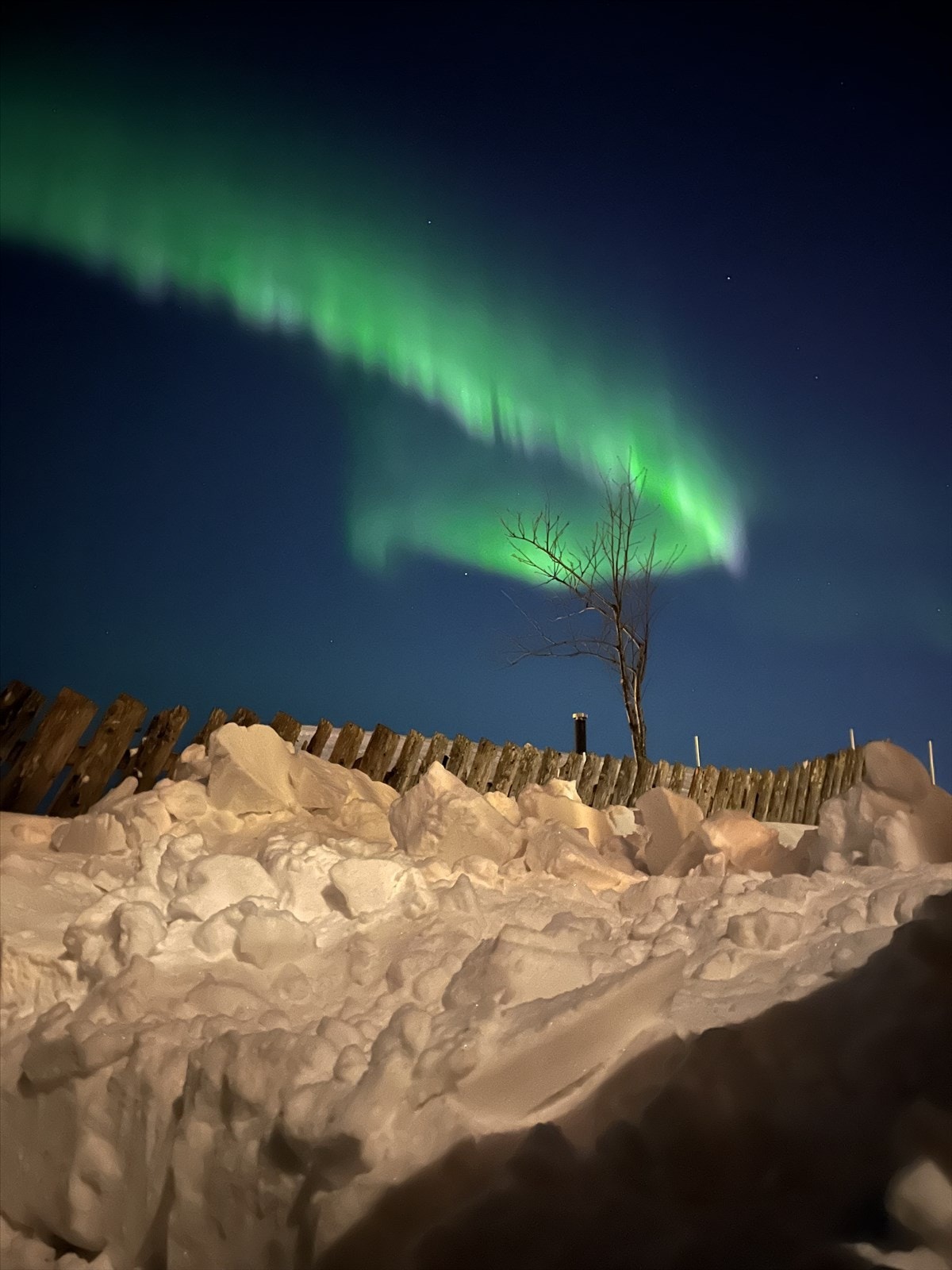 Selgers private bilde. Galleribilde