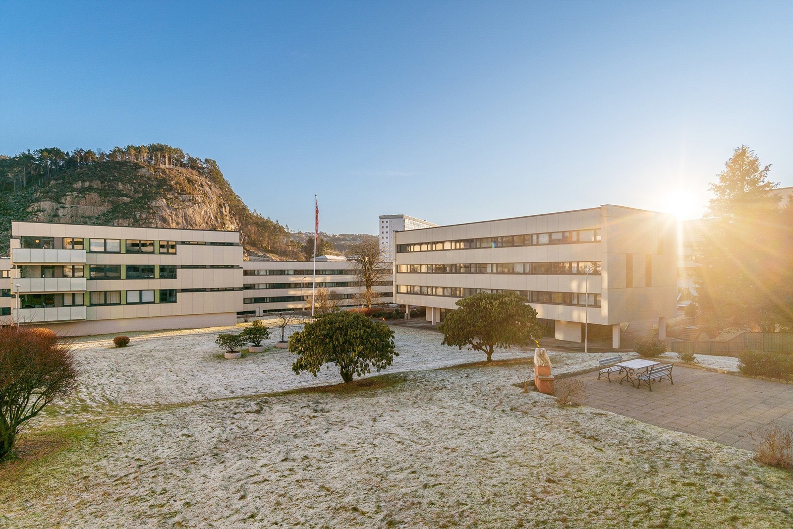 Nabolagets grøntarealer Galleribilde