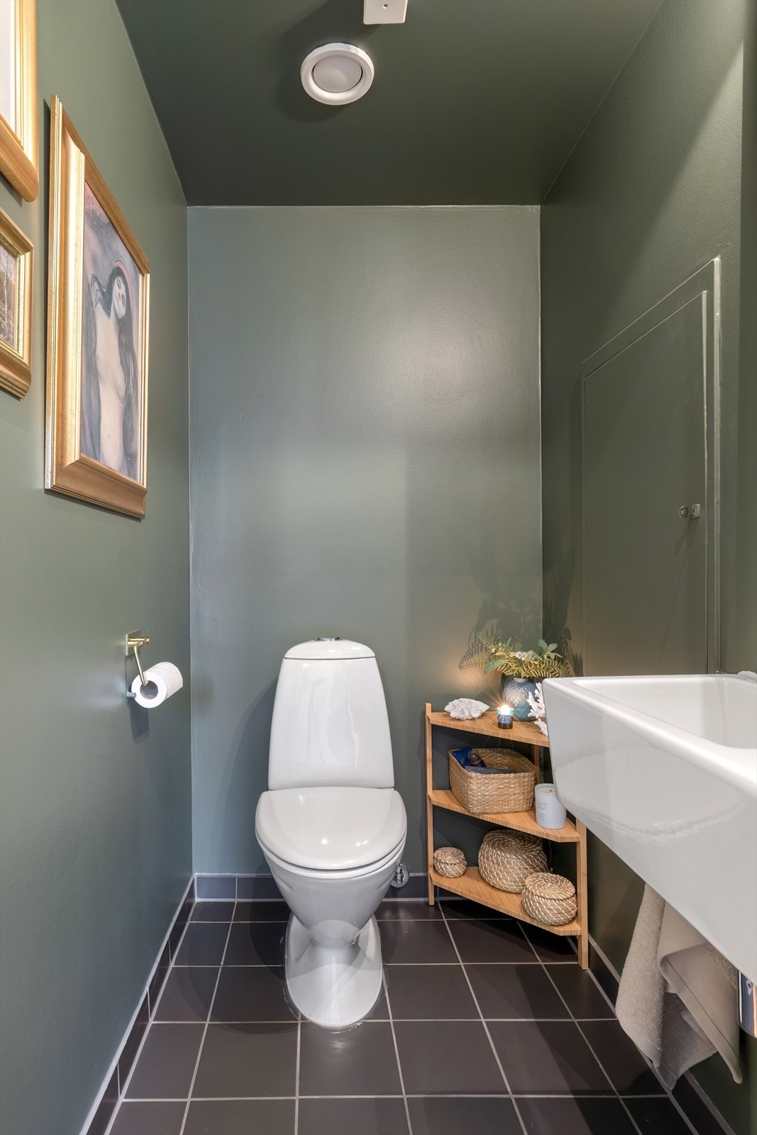 Ekstra toalett Galleribilde