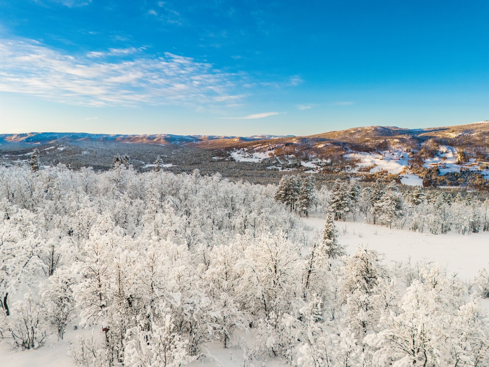 Området byr på flotte langrennsløyper Galleribilde