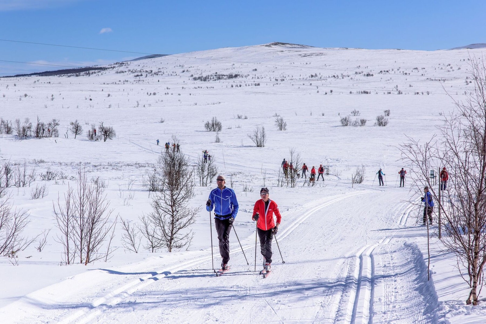 Nyt de flotteste langrennsturer i preparerte løyper i området Galleribilde