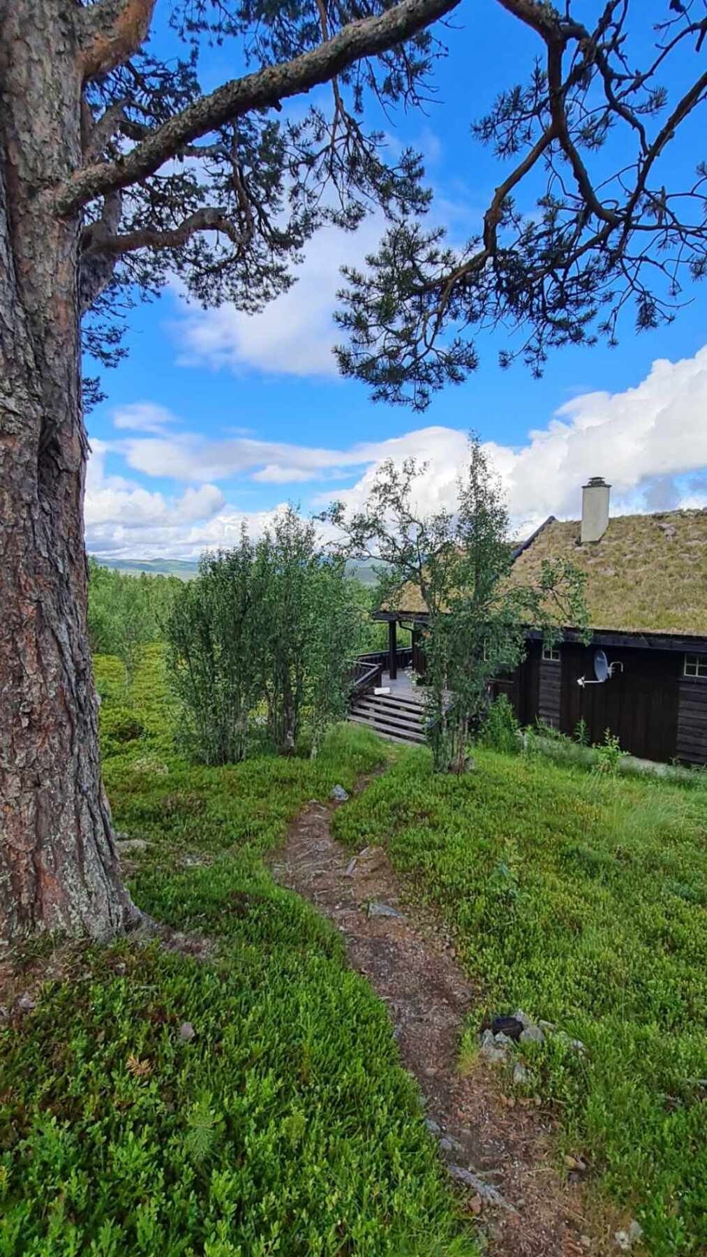 Sti fram til hytten som har en usjenert beliggenhet (Selgers eget bilde fra annen årstid) Galleribilde