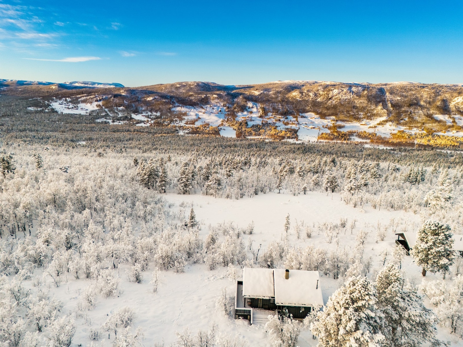 Her står naturopplevelsene i kø rett utenfor døren Galleribilde