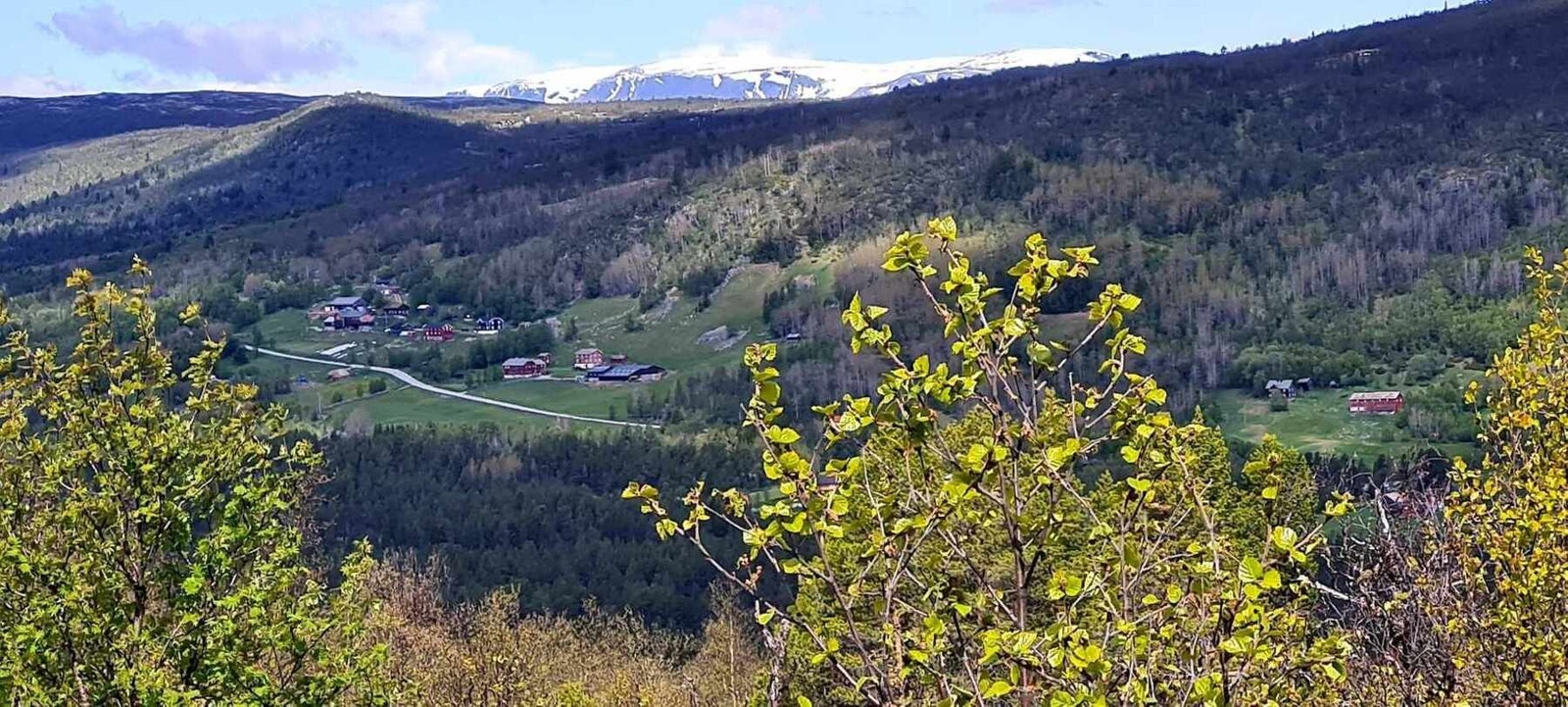Selgers eget bilde fra annen årstid. Galleribilde