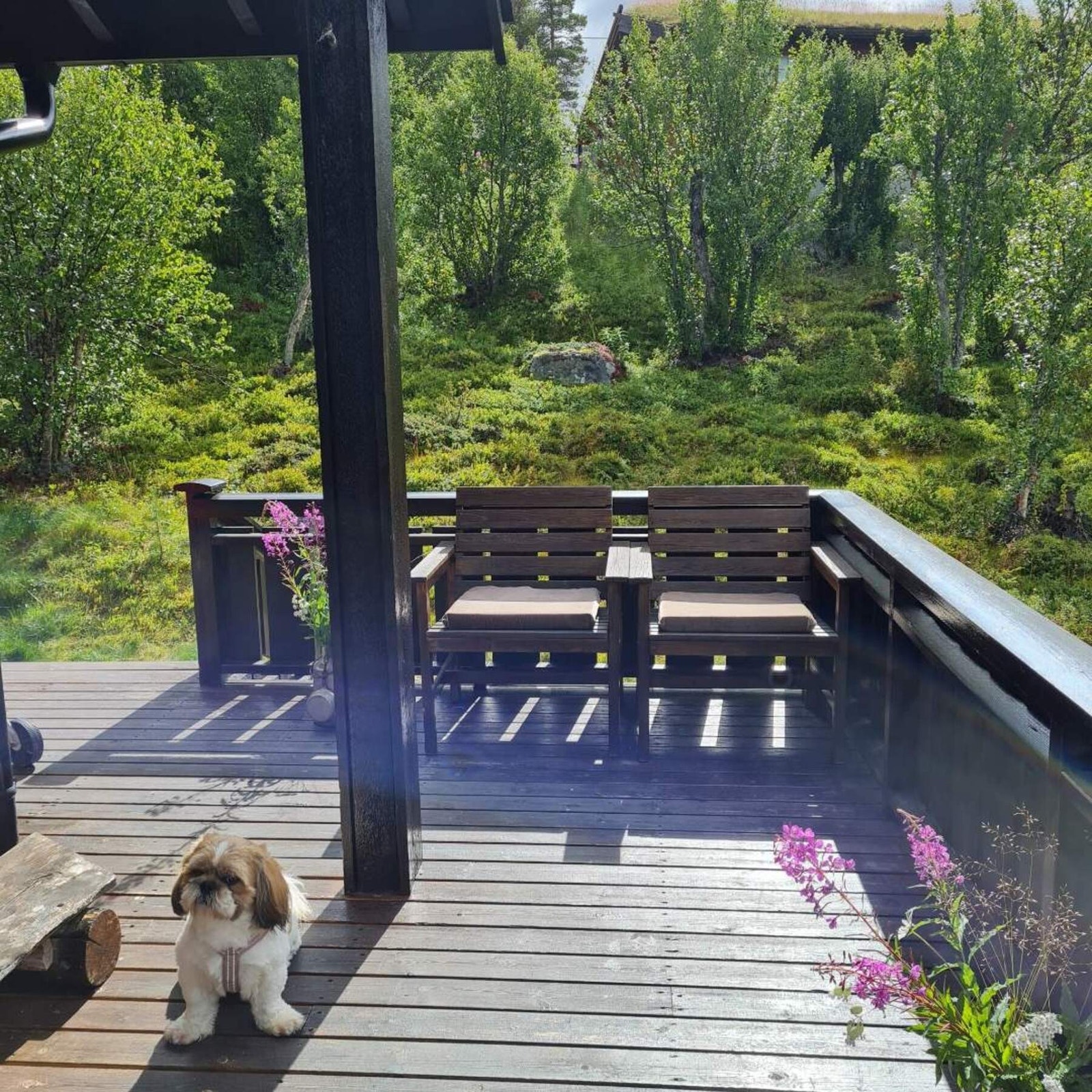 Selgers eget bilde fra annen årstid. Galleribilde