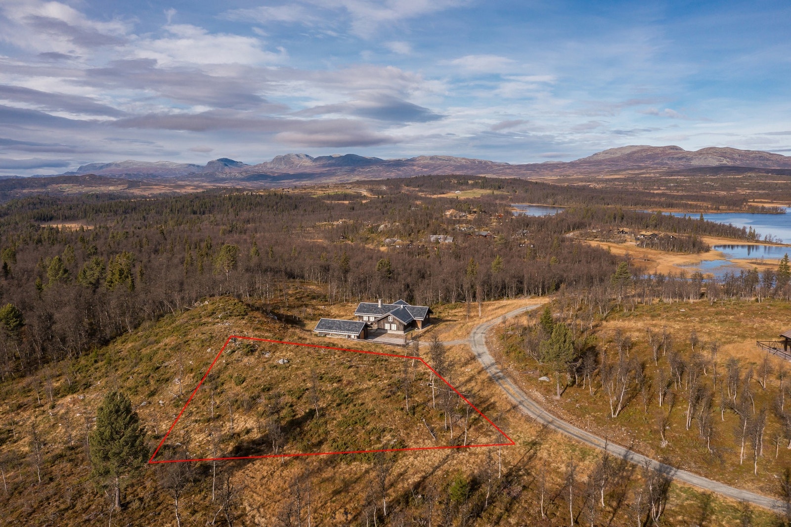 Foto: Terje Bjørnsen Galleribilde