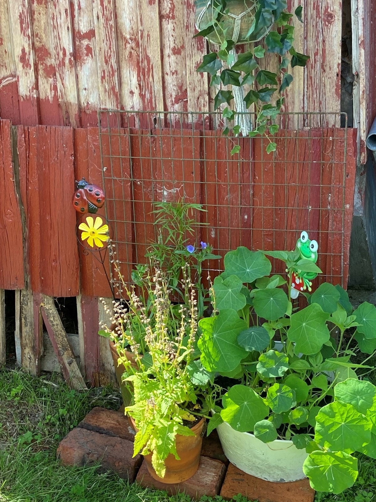 Sommerbilde (selgers bilde) Galleribilde