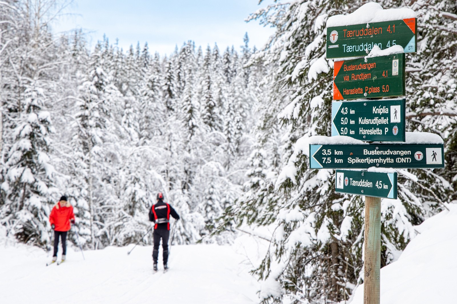 Om vinteren tilbys et fantastisk løypenett med inngang til hele Romeriksmarka og ved Tærudhallen finnes et eget skianlegg som legger til rette for både trening og familievennlig skiglede. Galleribilde