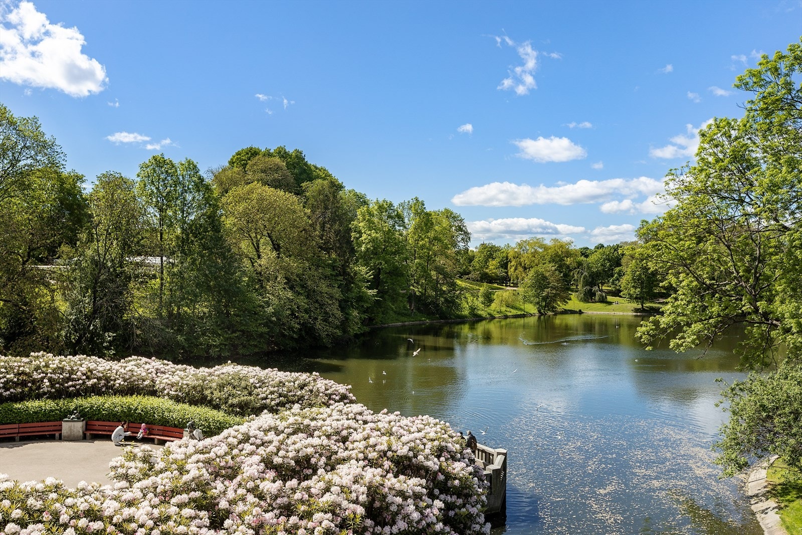 Vakre Frognerparken som en av flere flotte tur, park og grøntområder i umiddelbar nærhet. Galleribilde