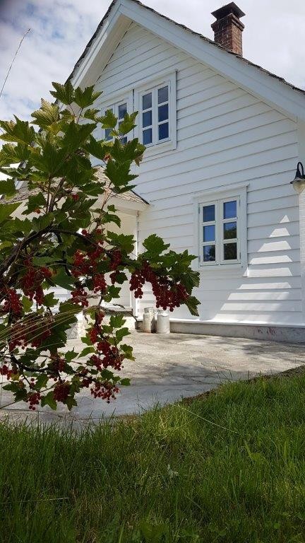 Private bilder Galleribilde