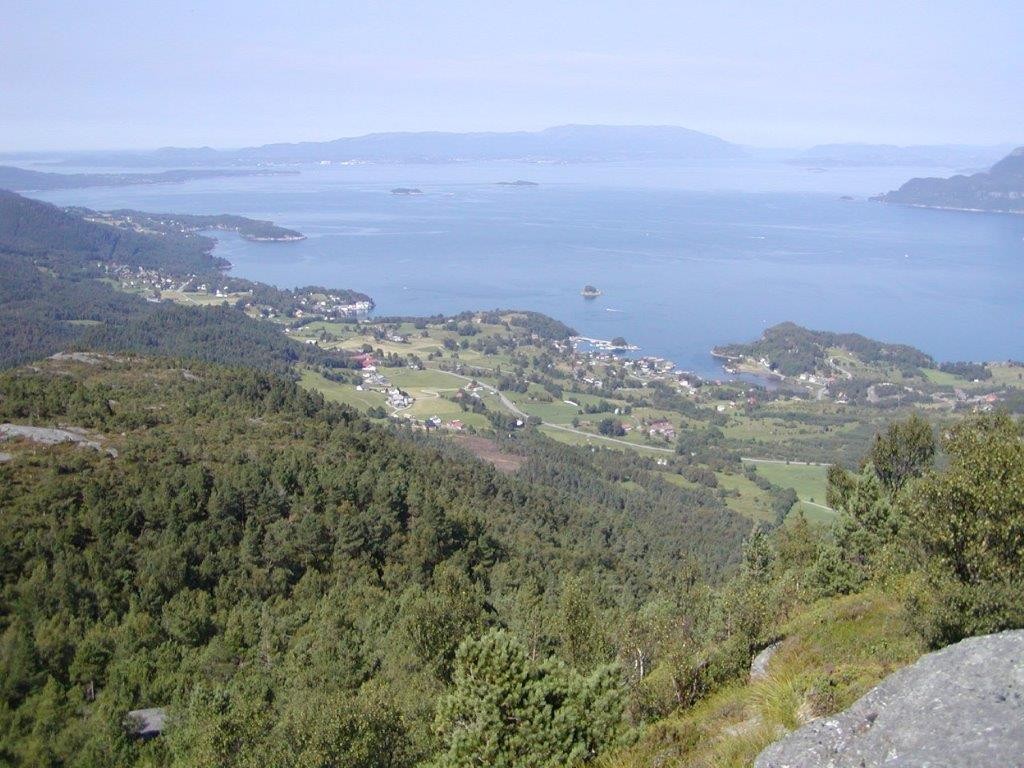 Private bilder Galleribilde