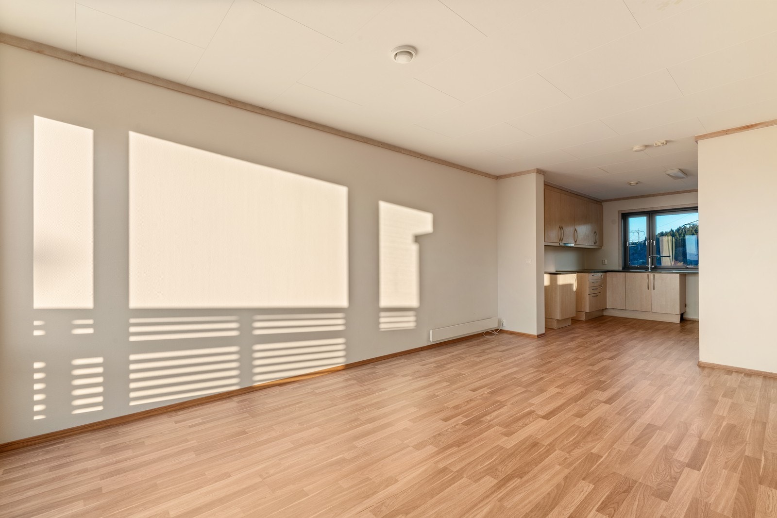 God plass for spisestue og sofagruppe Galleribilde