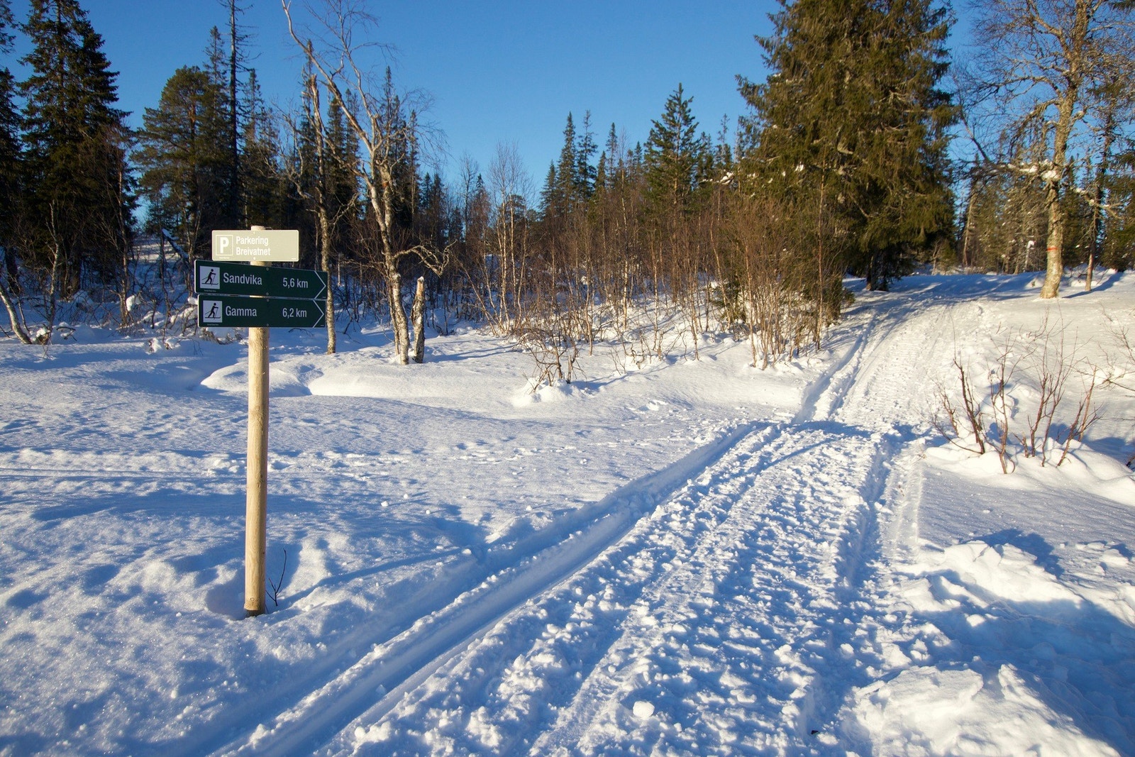 Skiløyper blir kjørt opp like ved hytta. Galleribilde