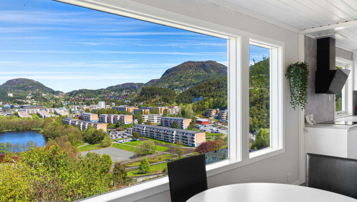 utsikt fra stue Galleribilde