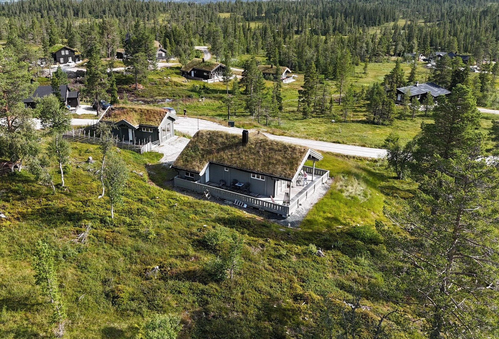 Hyttetunet sett fra lufta. Galleribilde