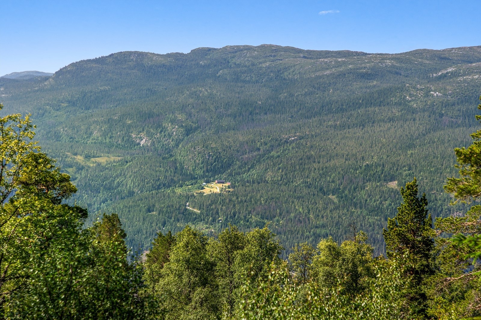 Tempelseter er like attraktivt sommer som vinter. Galleribilde