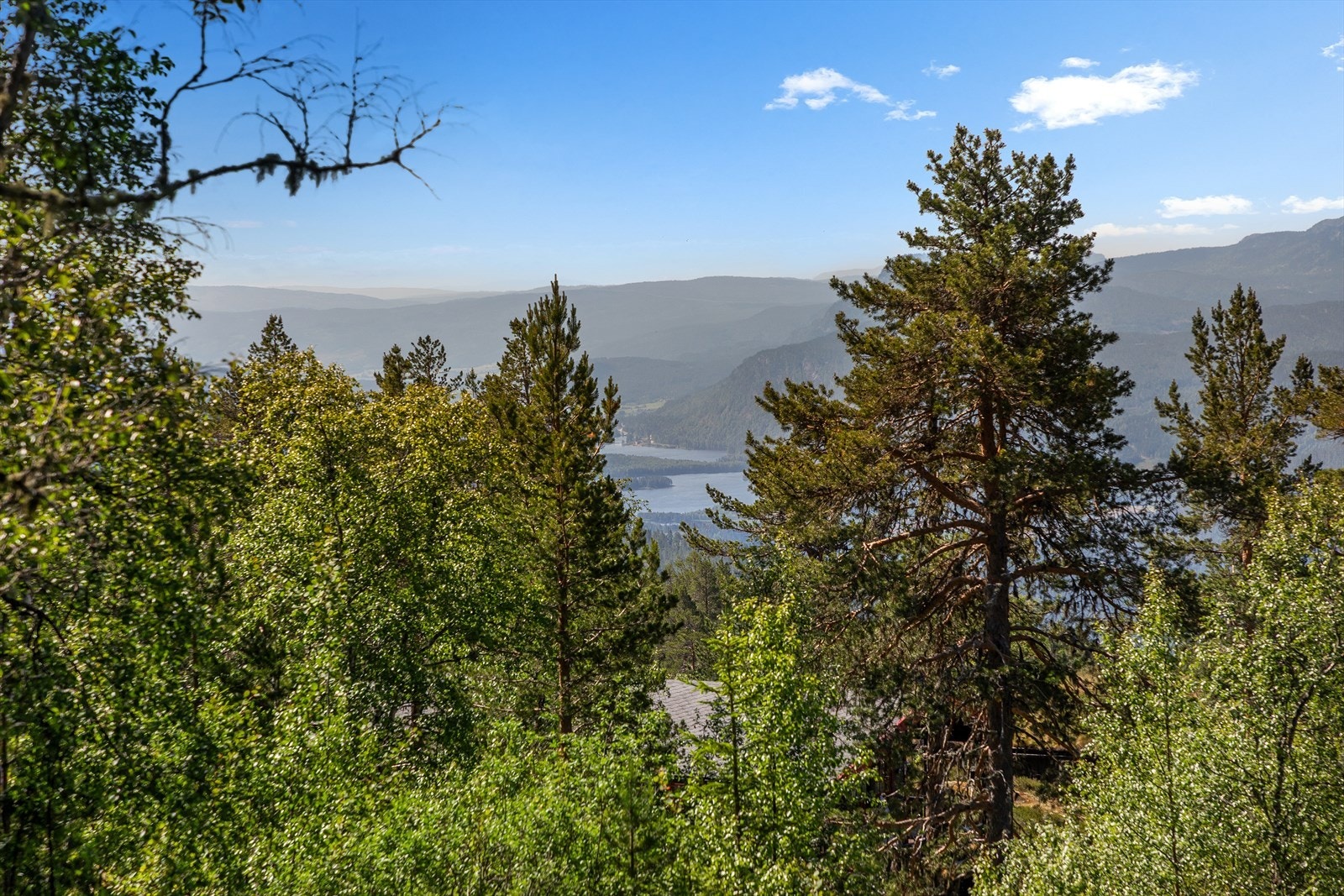 Området har mange merkede turstier i variert terreng, inkludert flere flotte toppturer til Høgevarde (1459 moh.), Gråfjell (1466 moh.) og Ranten (1419 moh.). Galleribilde