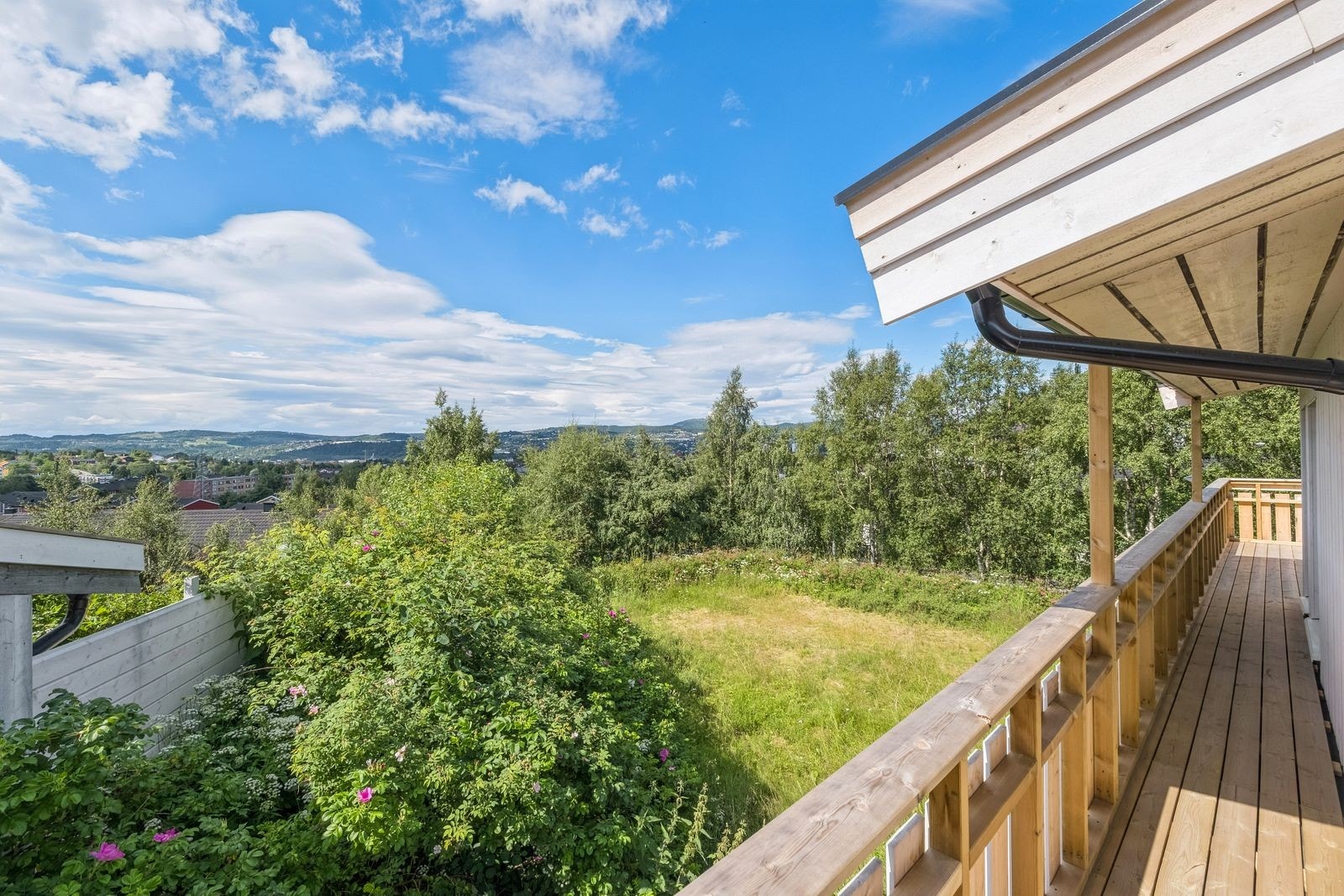 Utsikt. Galleribilde