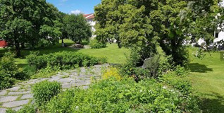 Sommerbilde fra felles hage med grill og utemøbler. Galleribilde