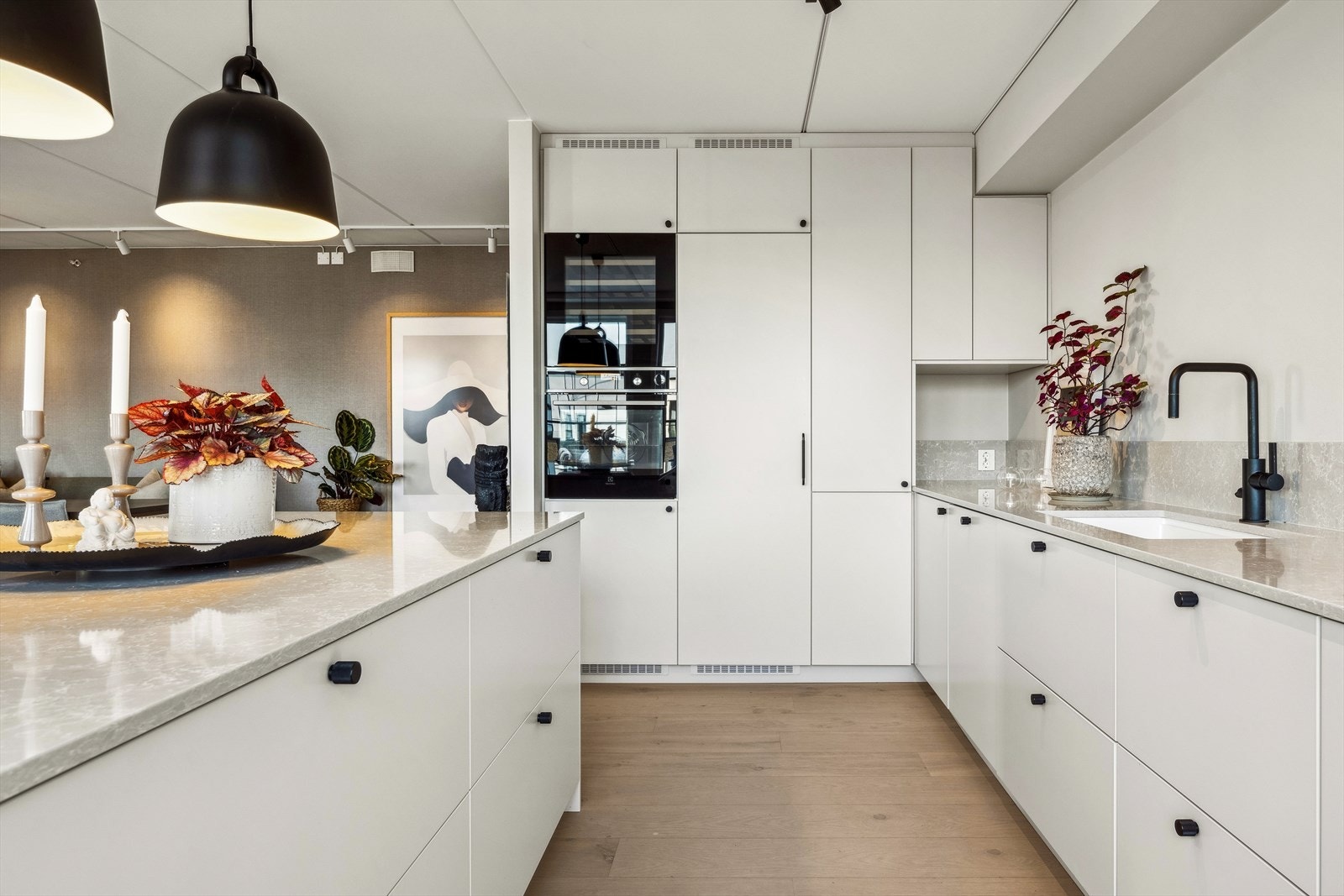 Hvitevarer som oppvaskmaskin, induksjonstopp, stekeovn, kjøleskap, fryseskap og vinskap medfølger Galleribilde