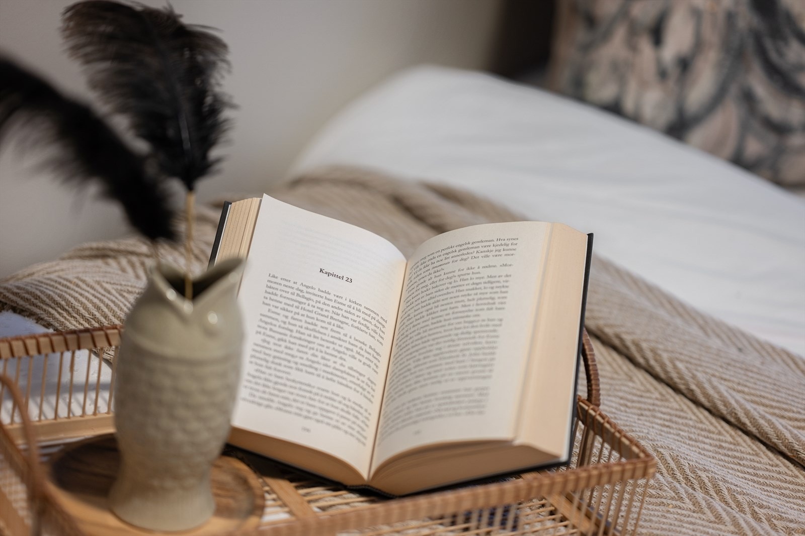 Soverom Galleribilde