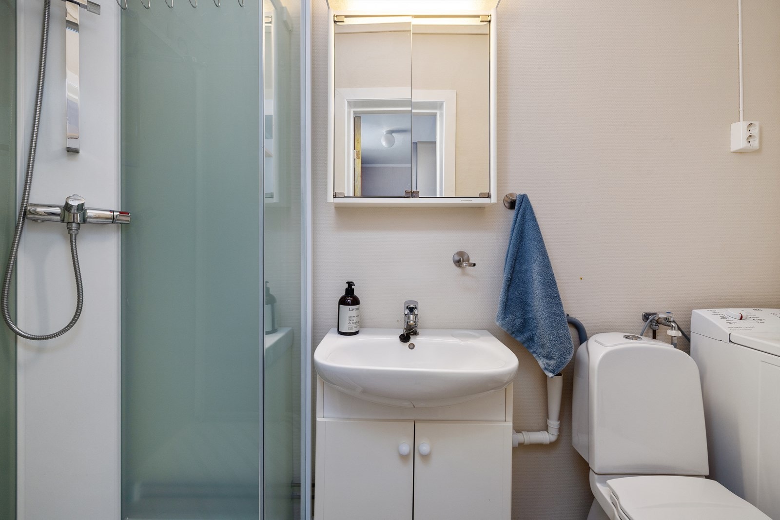 Badet i første etasje er utstyrt med toalett, servant og opplegg for vaskemaskin. Galleribilde