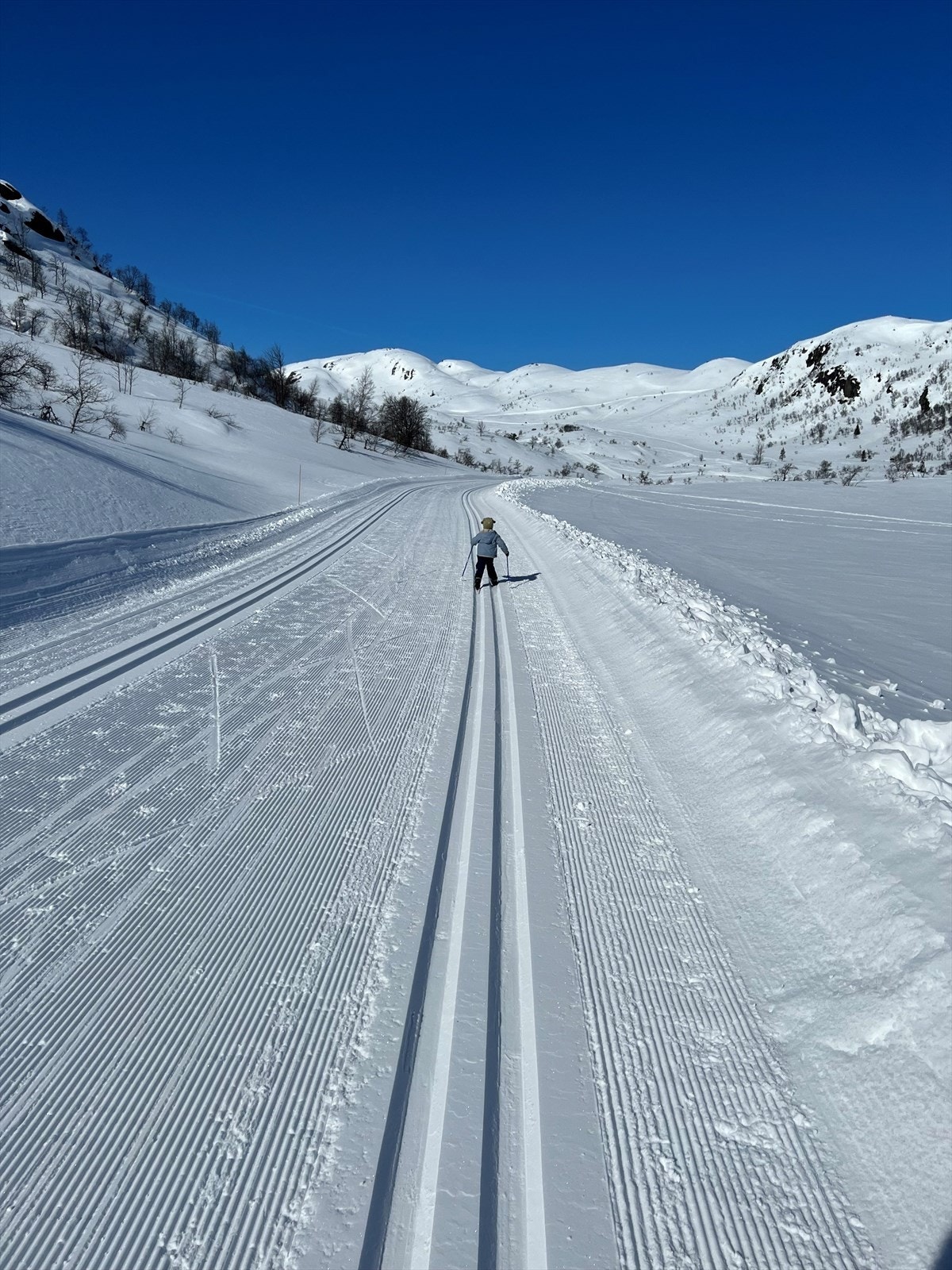 Private stemningsbilder Galleribilde