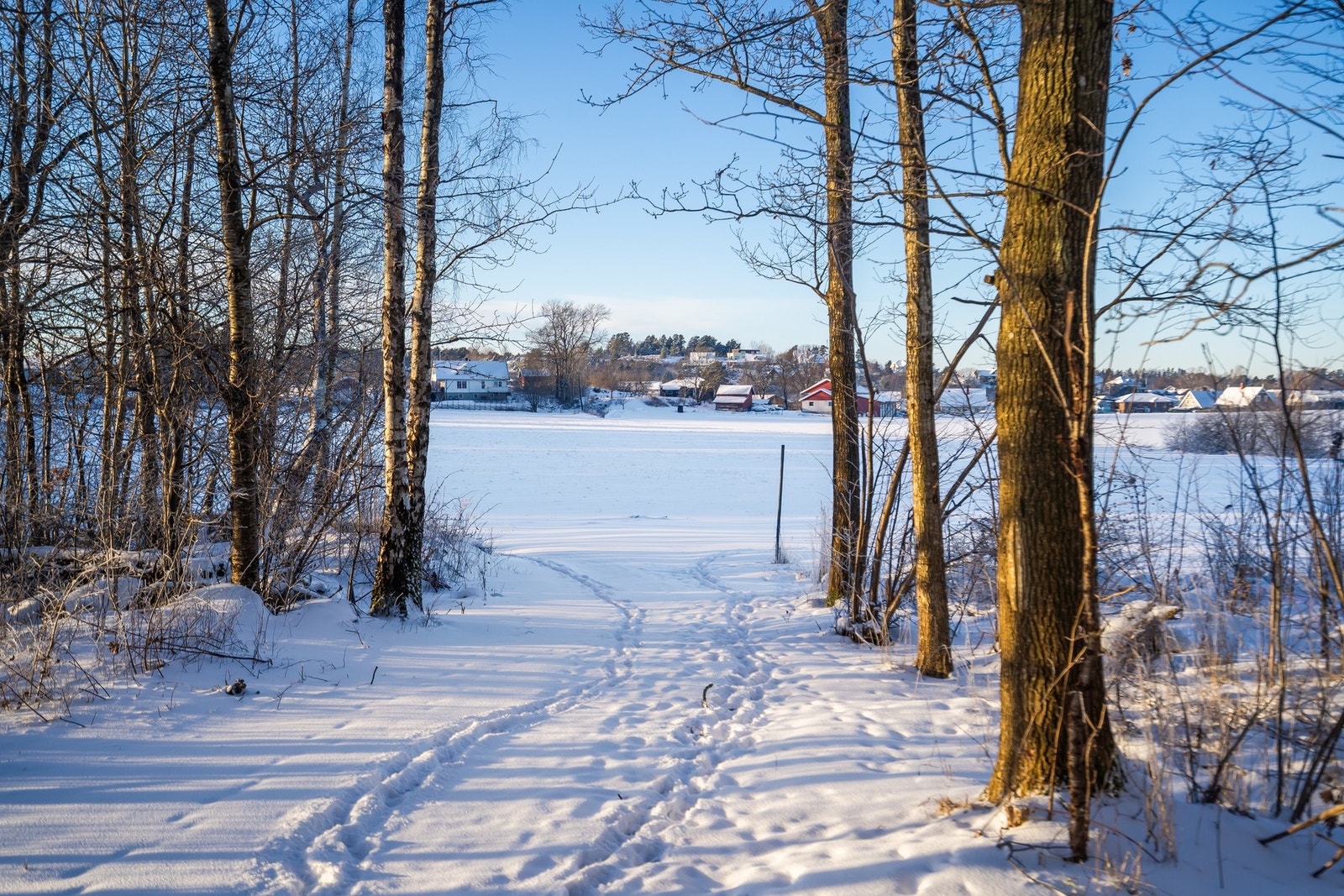 Samtidig har nærområdet et rikt tilbud for både store og små, med turstier i skog og mark, samt kort vei til Nesskogen Idrettspark (NIF) med fotballbaner, friidrettsanlegg og lekeplass. Galleribilde