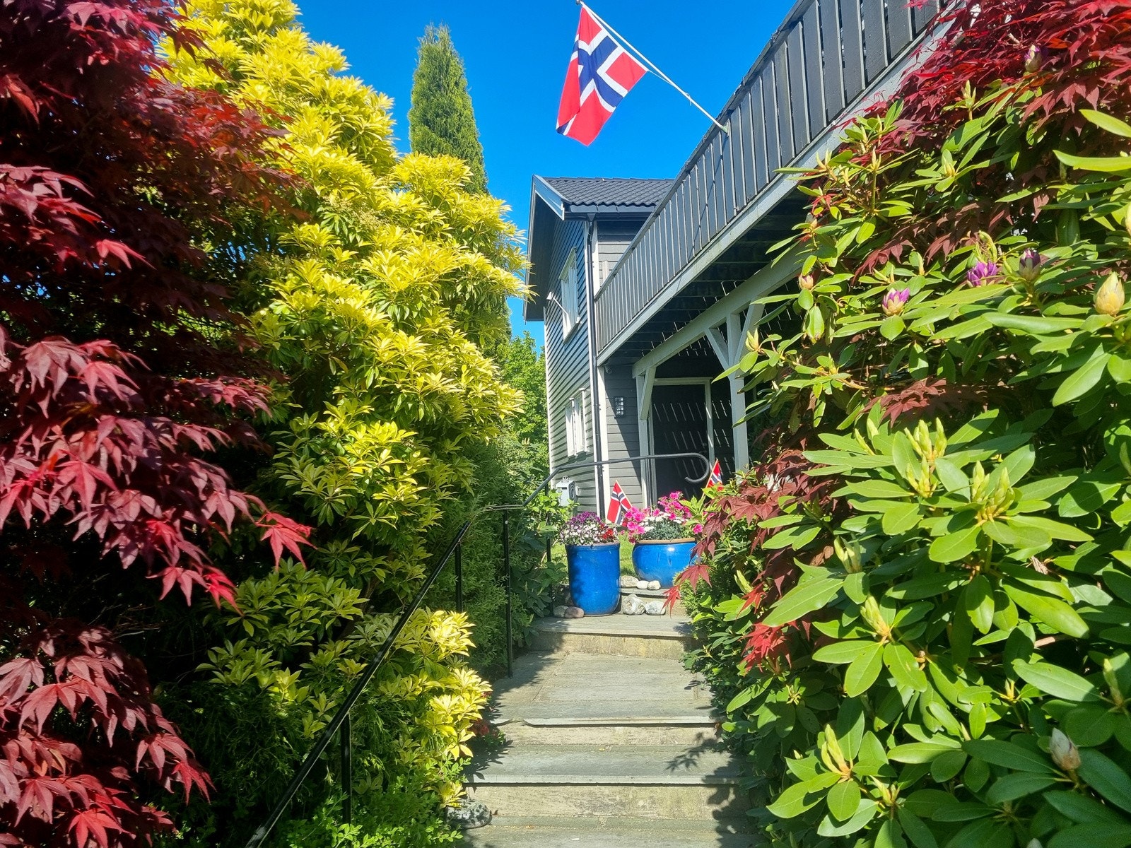 Praktfull beplantning og trapp i skifer. Galleribilde