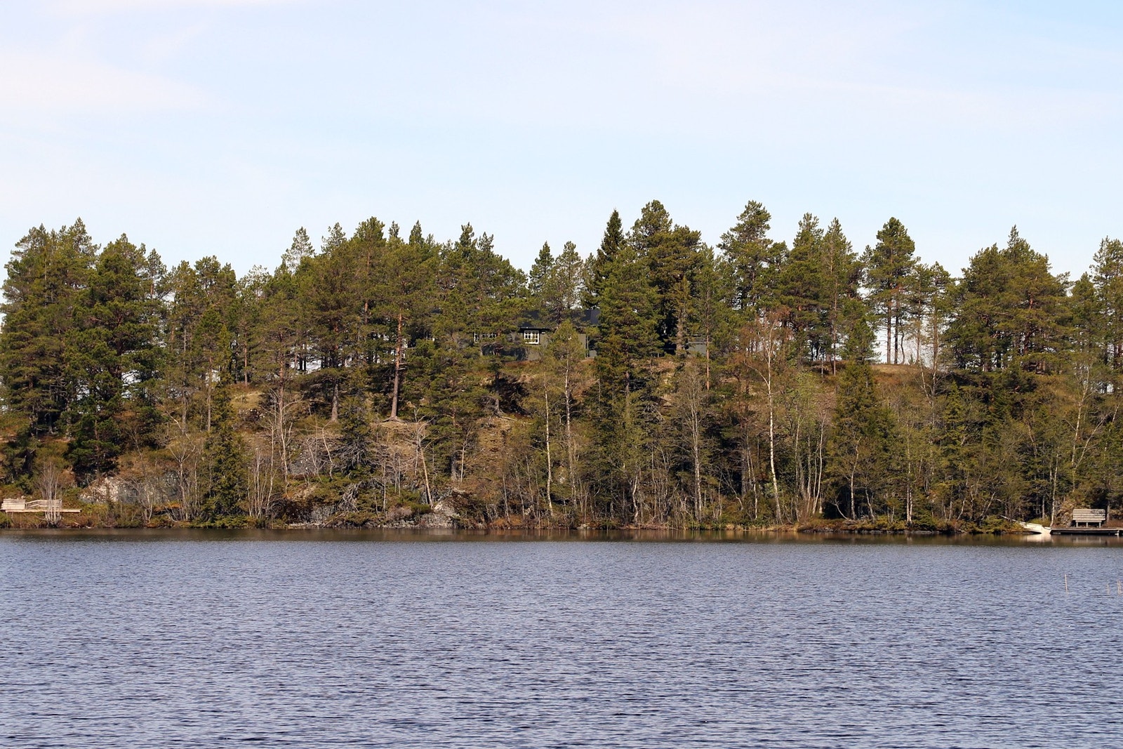 Hytta fra Haugatjønna. Galleribilde