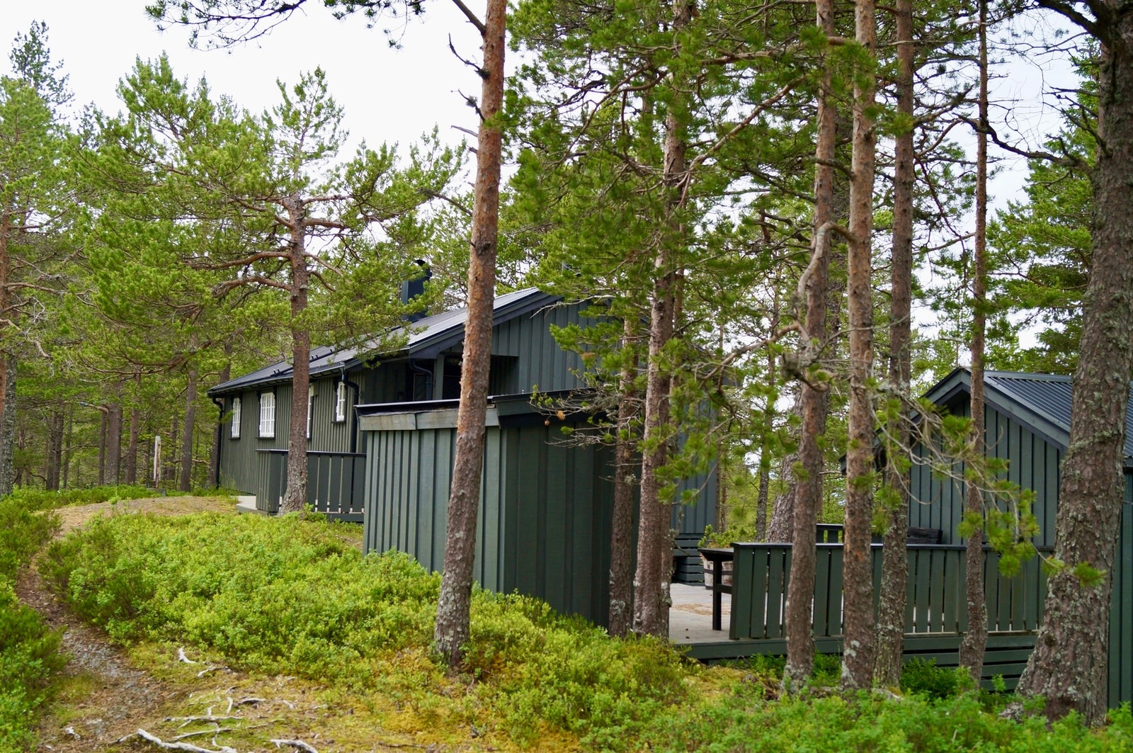 Fasade. Galleribilde