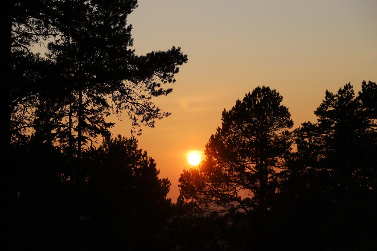 Solnedgang. Galleribilde