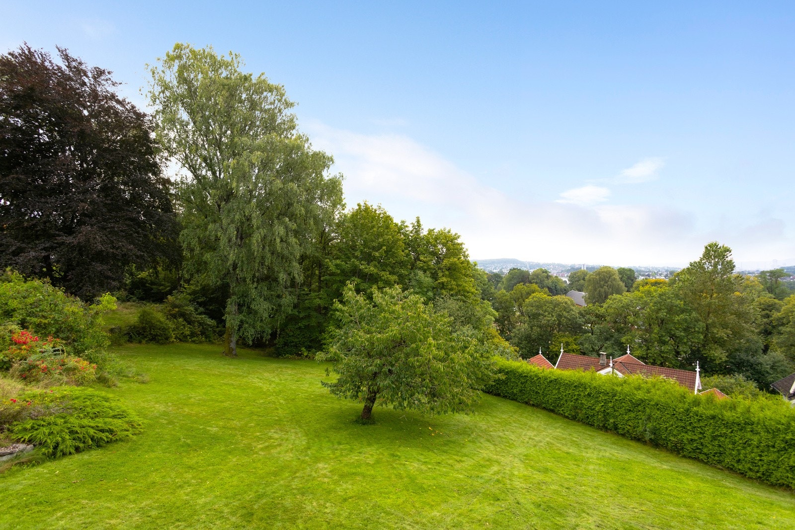 Stor og frodig tomt på ca 4 mål, totalt usjenert Galleribilde