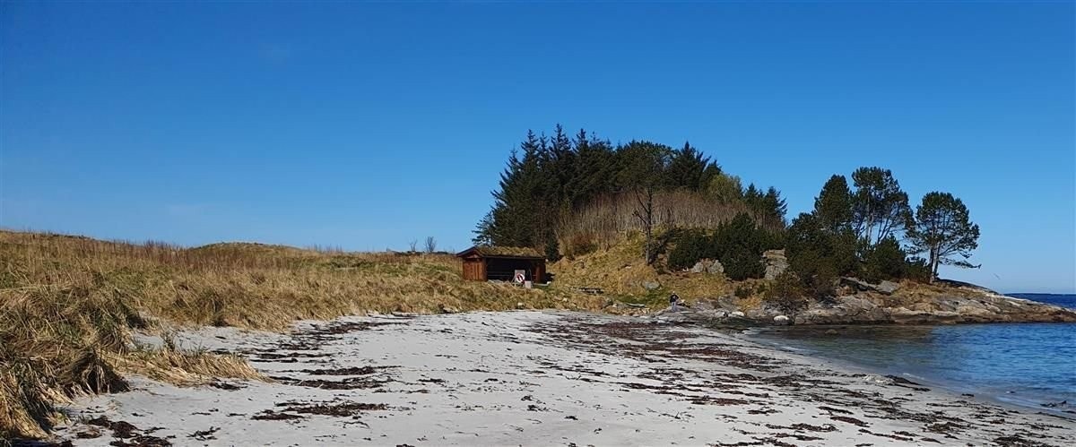 Bilde fra google Galleribilde