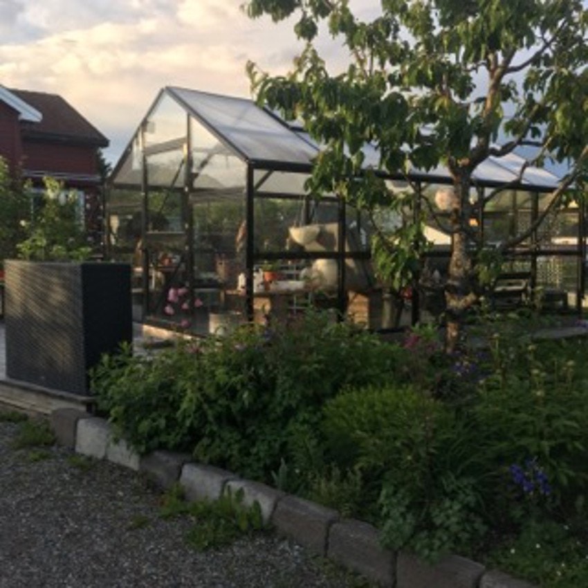 Selgers bilder. Galleribilde