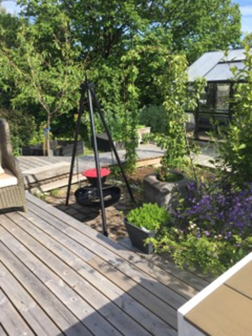 Selgers bilder. Galleribilde