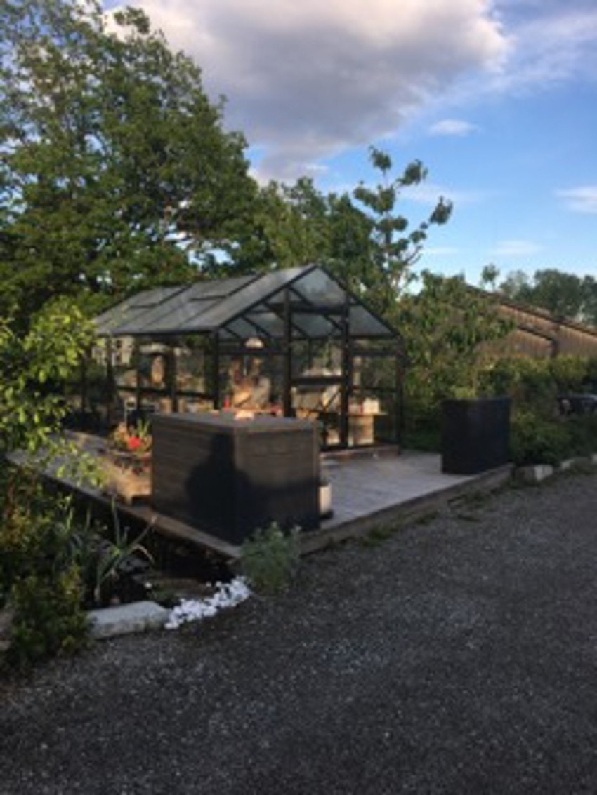 Selgers bilder. Galleribilde