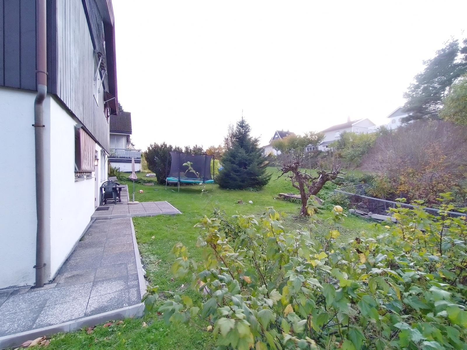 Hage rundt huset. Galleribilde