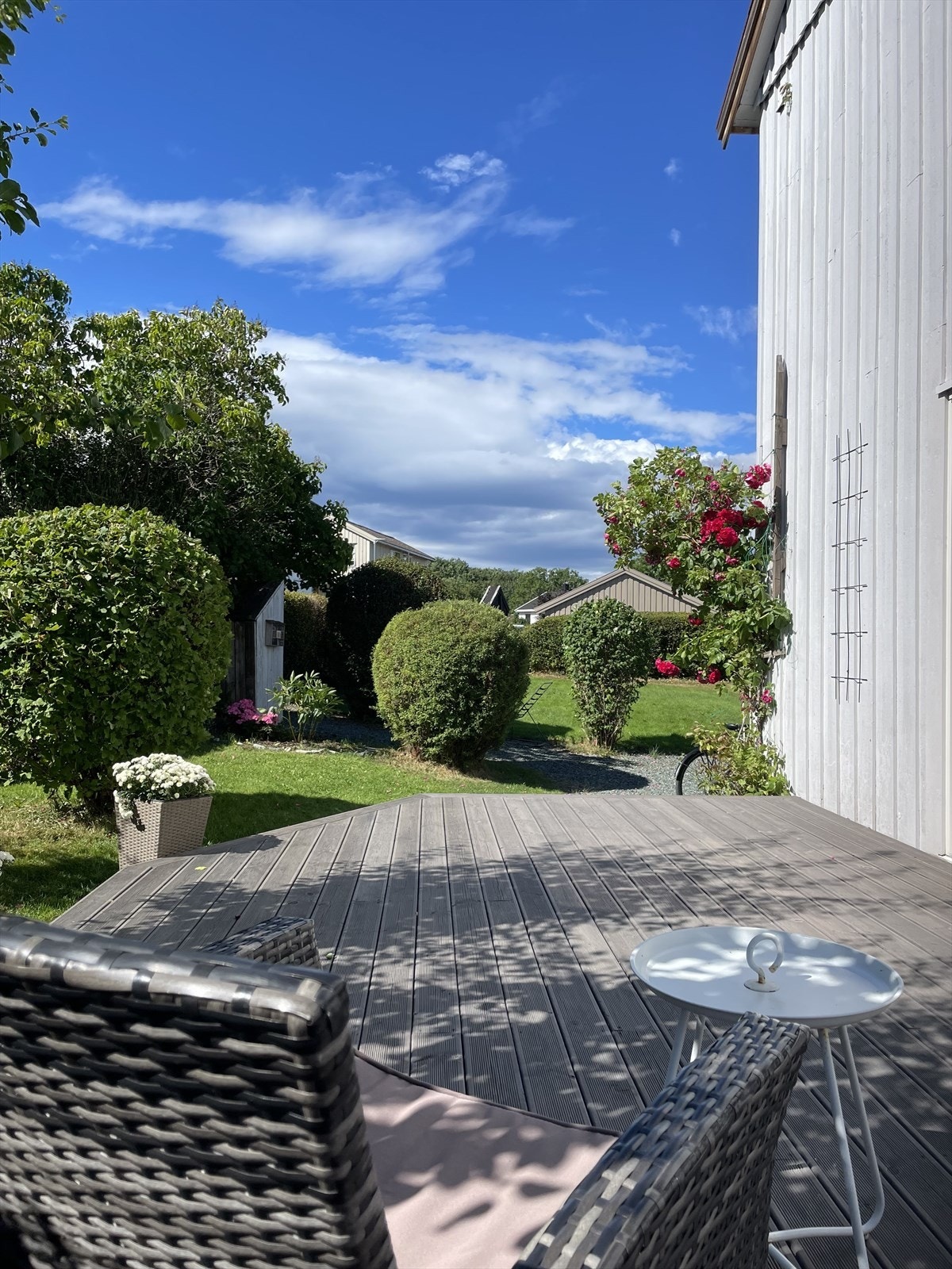 Selgers eget bilde. Galleribilde