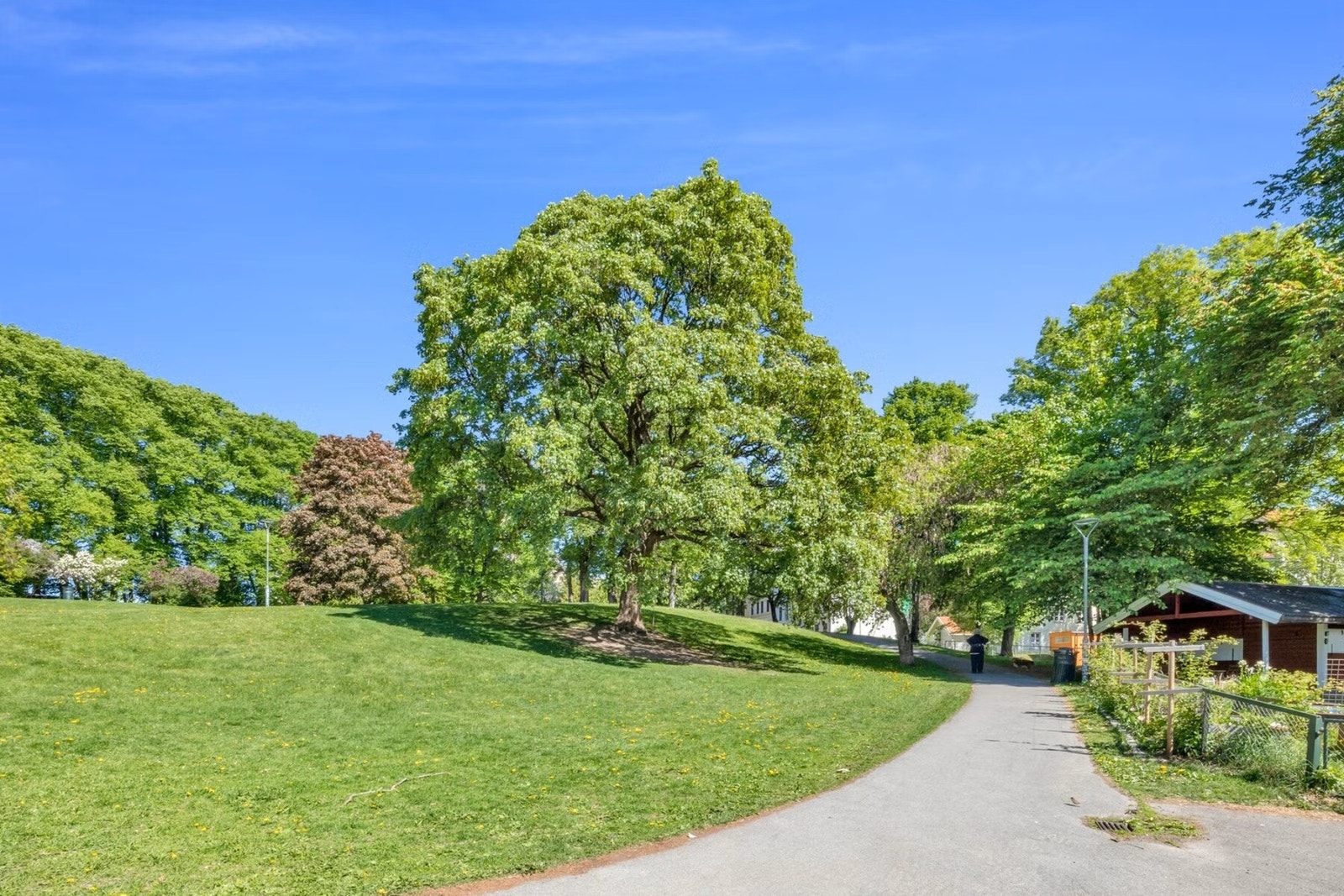 Bjølsenparken som nærmeste nabo Galleribilde