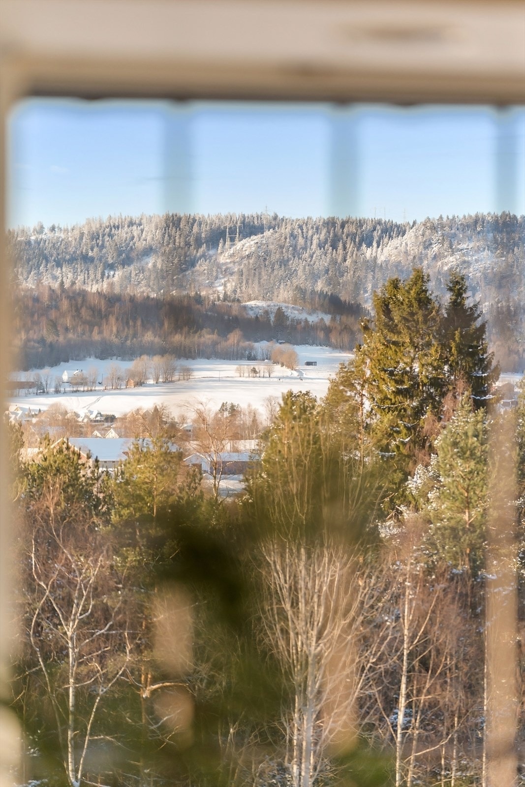 Utsikt mot skog og mark fra boligen. Galleribilde