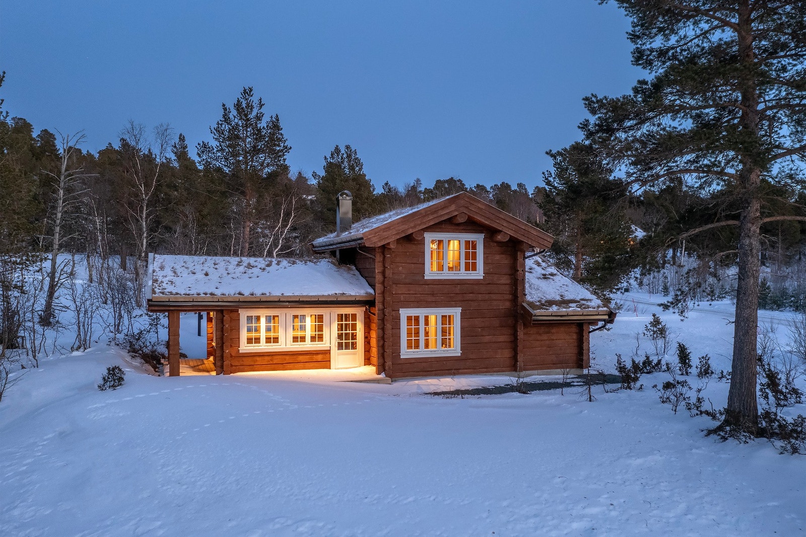 Kveldsbilde. Galleribilde