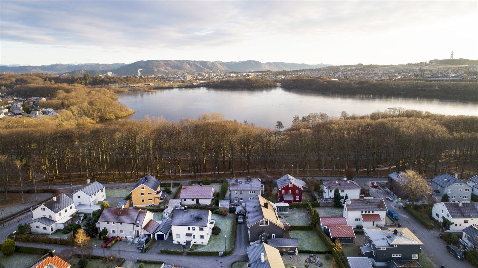 Mosvannsparken som nærmeste nabo. Galleribilde