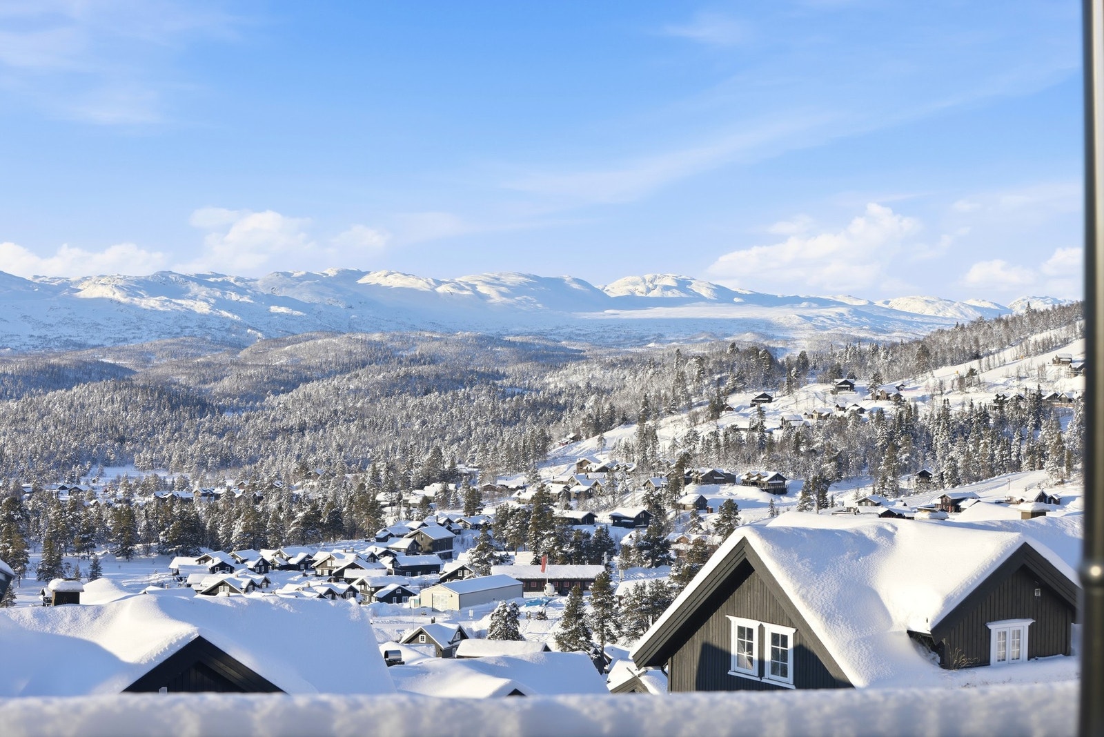 Velkommen til visning! Galleribilde