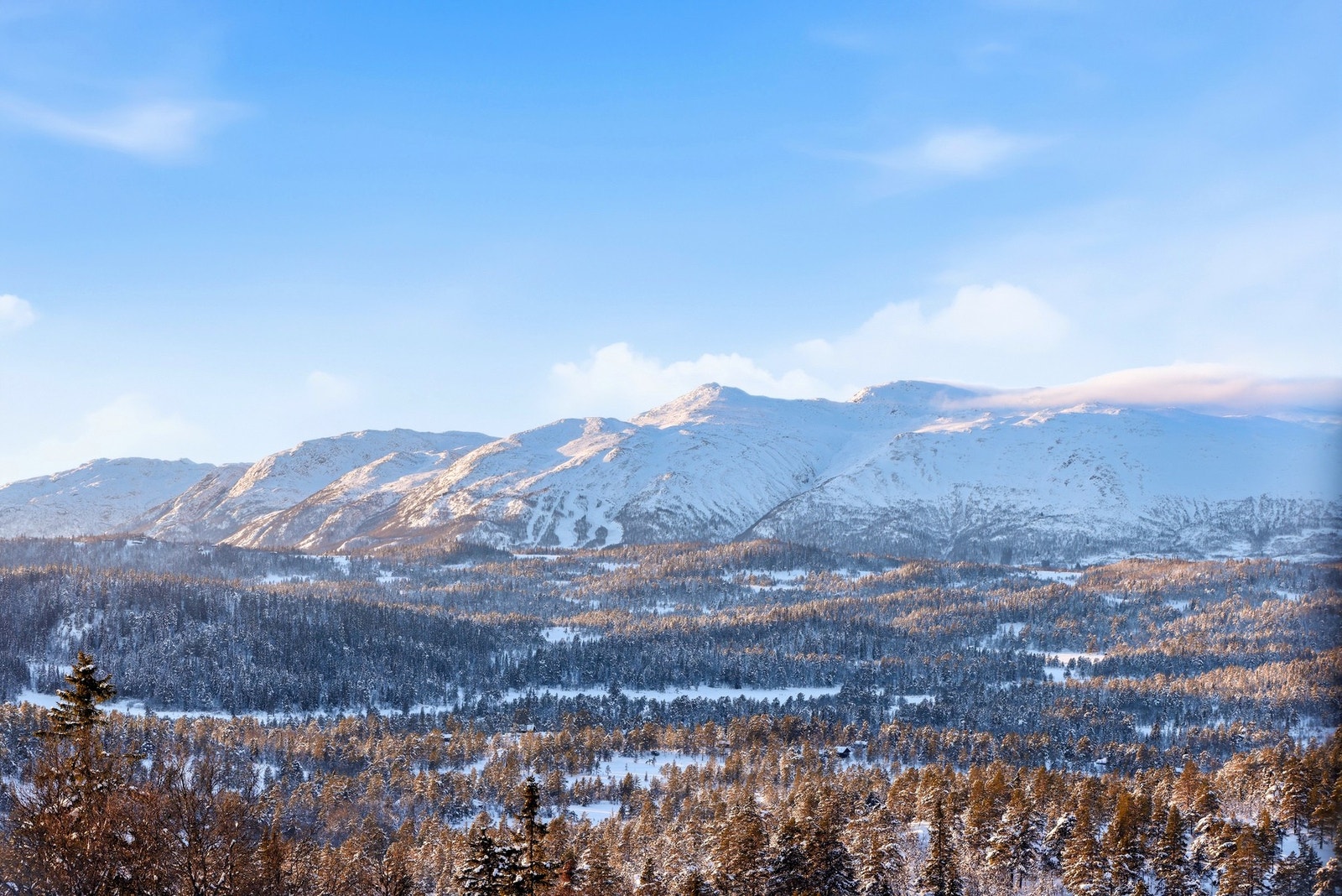 En innholdsrik hytte med fantastisk beliggenhet i Holtardalen! Galleribilde