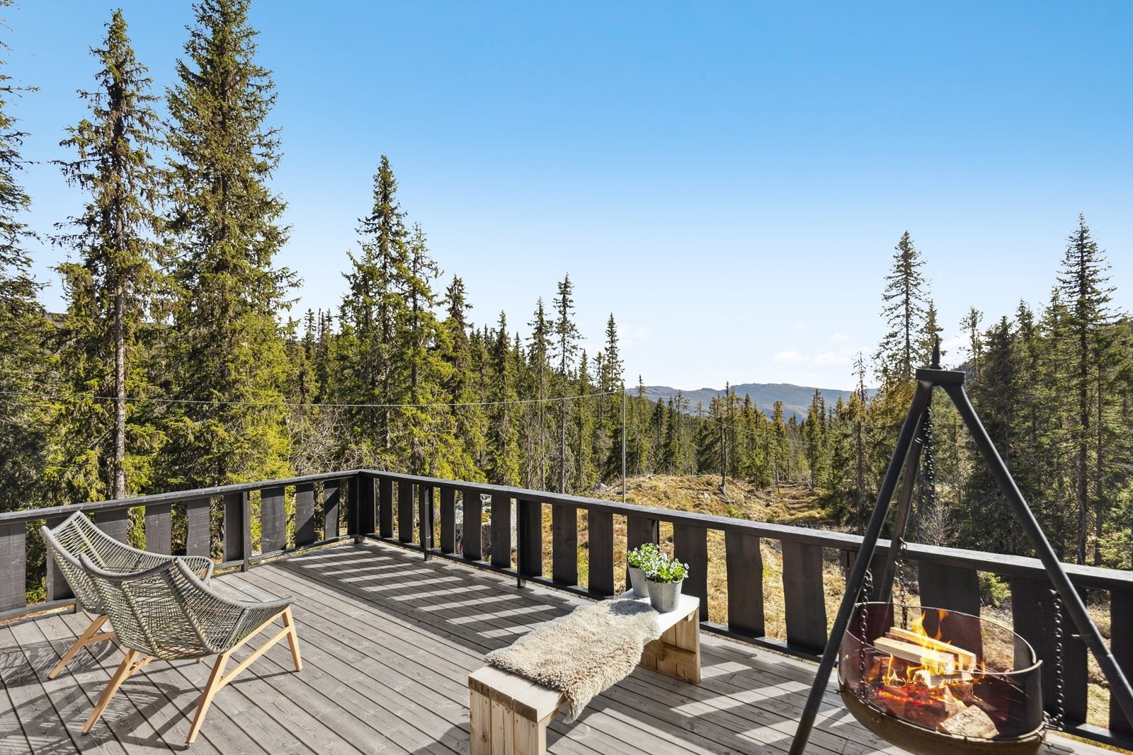 Bilder av eiendommen på sommerstid Galleribilde