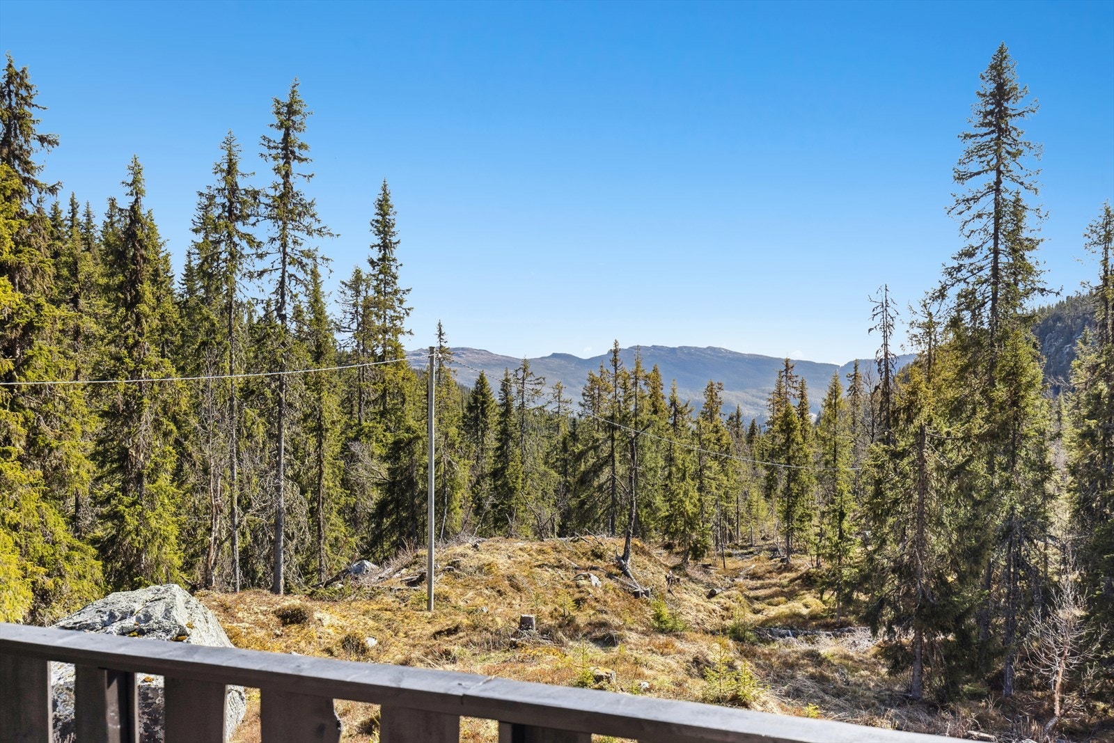 Flotte turområder som Gråfjell, Drotningutunatten, Holmvassnatten og Toveseter finner du i nærområdet. Galleribilde