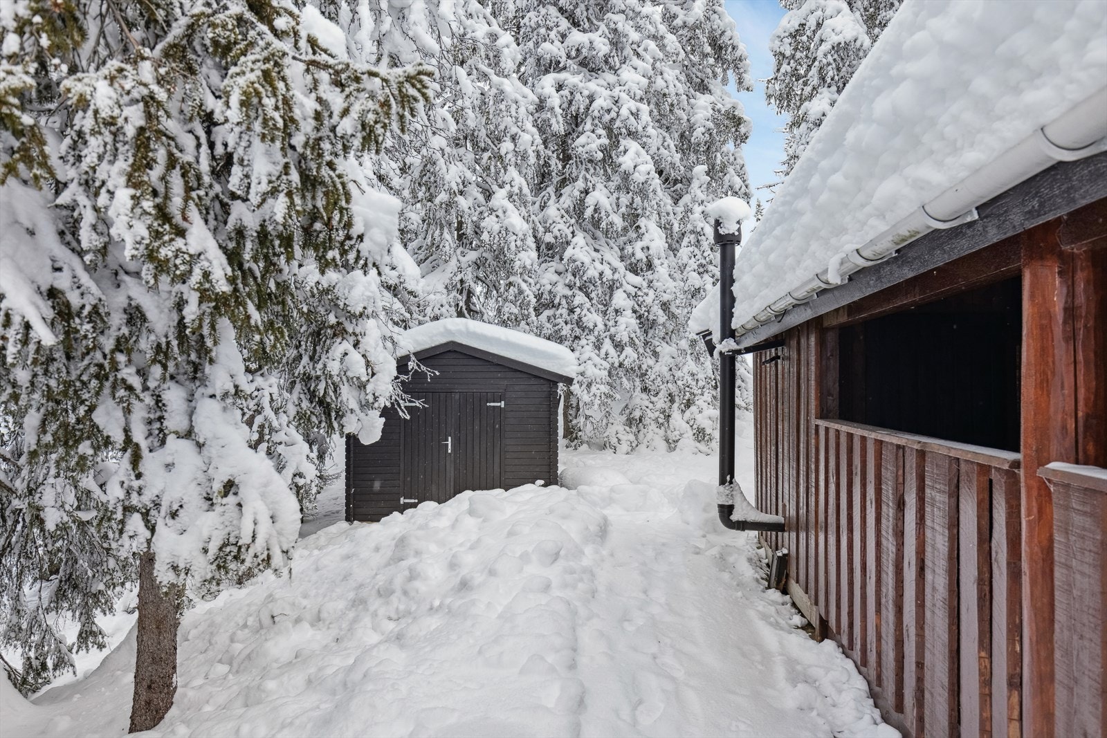 Frittstående bod med god plass for oppbevaring av utemøblement og annet utstyr Galleribilde