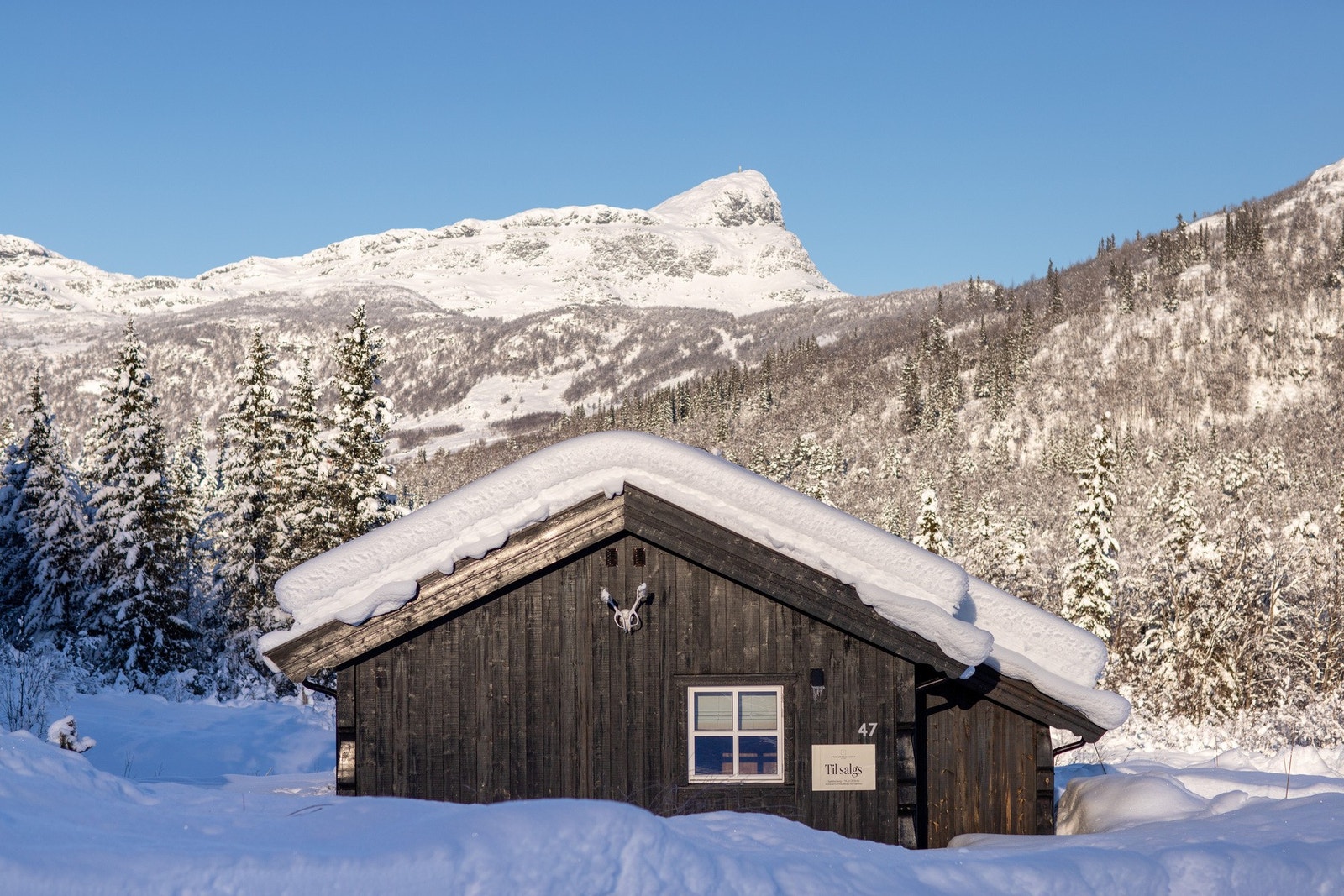 Nydelig utsikt rett mot Bitihorn! Galleribilde